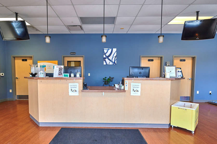 This image depicts the inside of a vet center