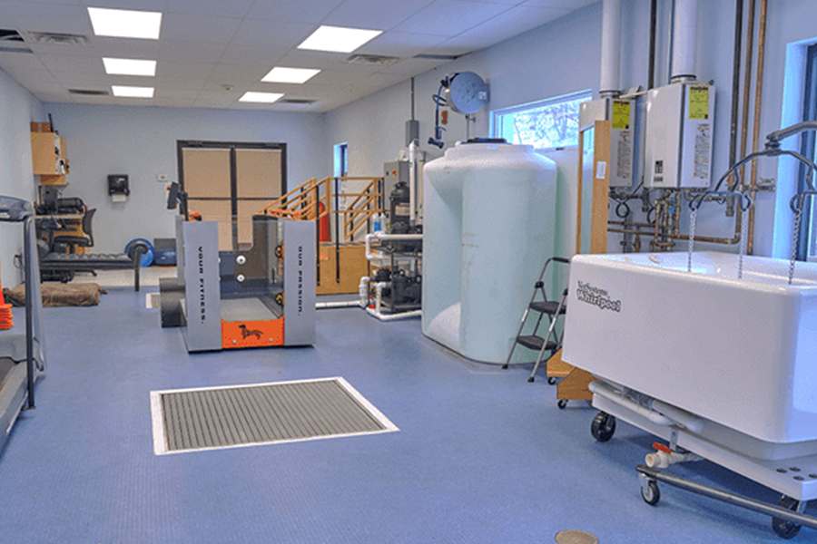 This image depicts the inside of a vet center