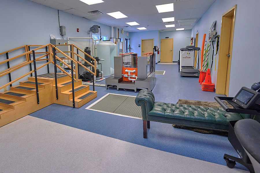 This image depicts the interior of a vet center