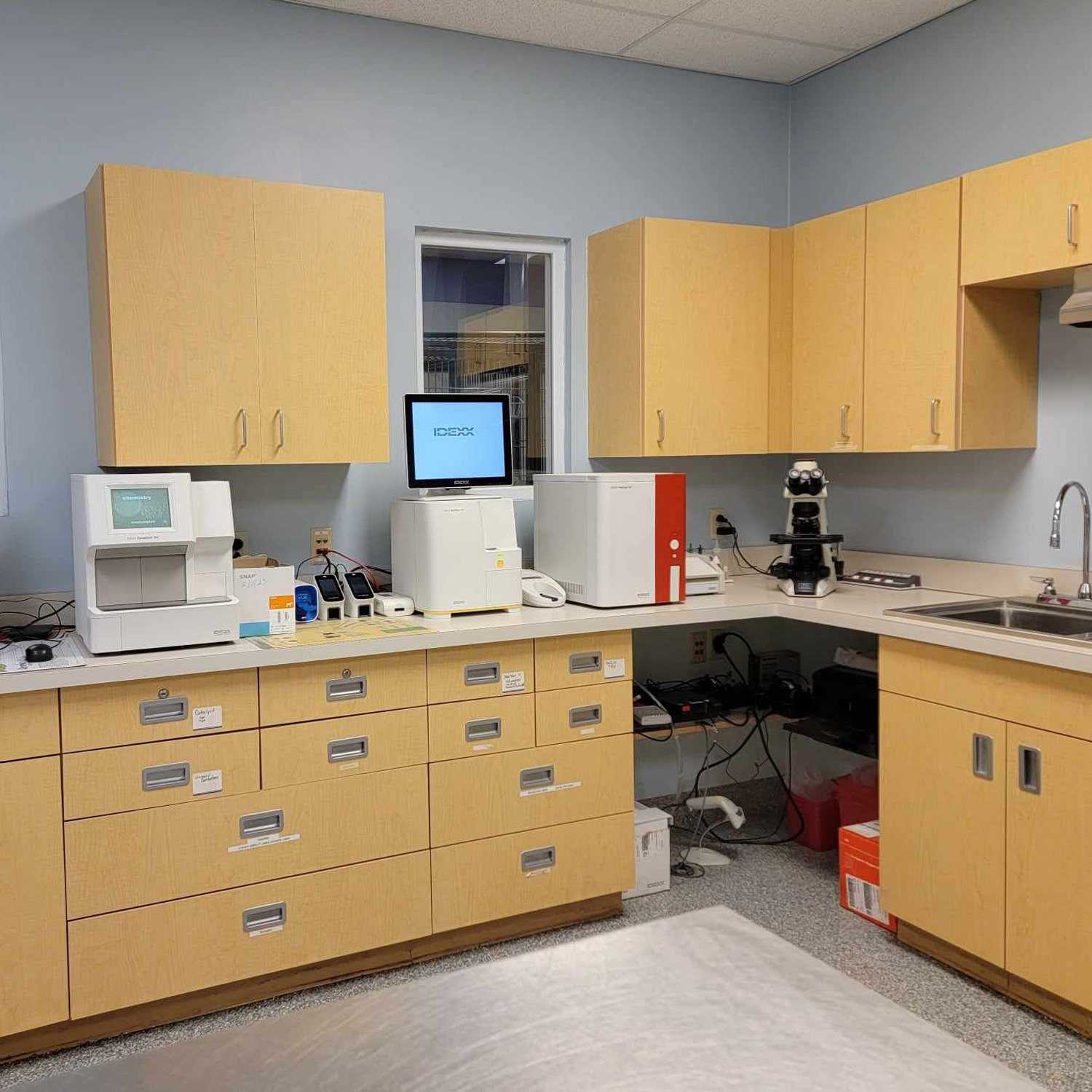 This image depicts a medical treatment office for animals with a scope, cabinets and monitors.