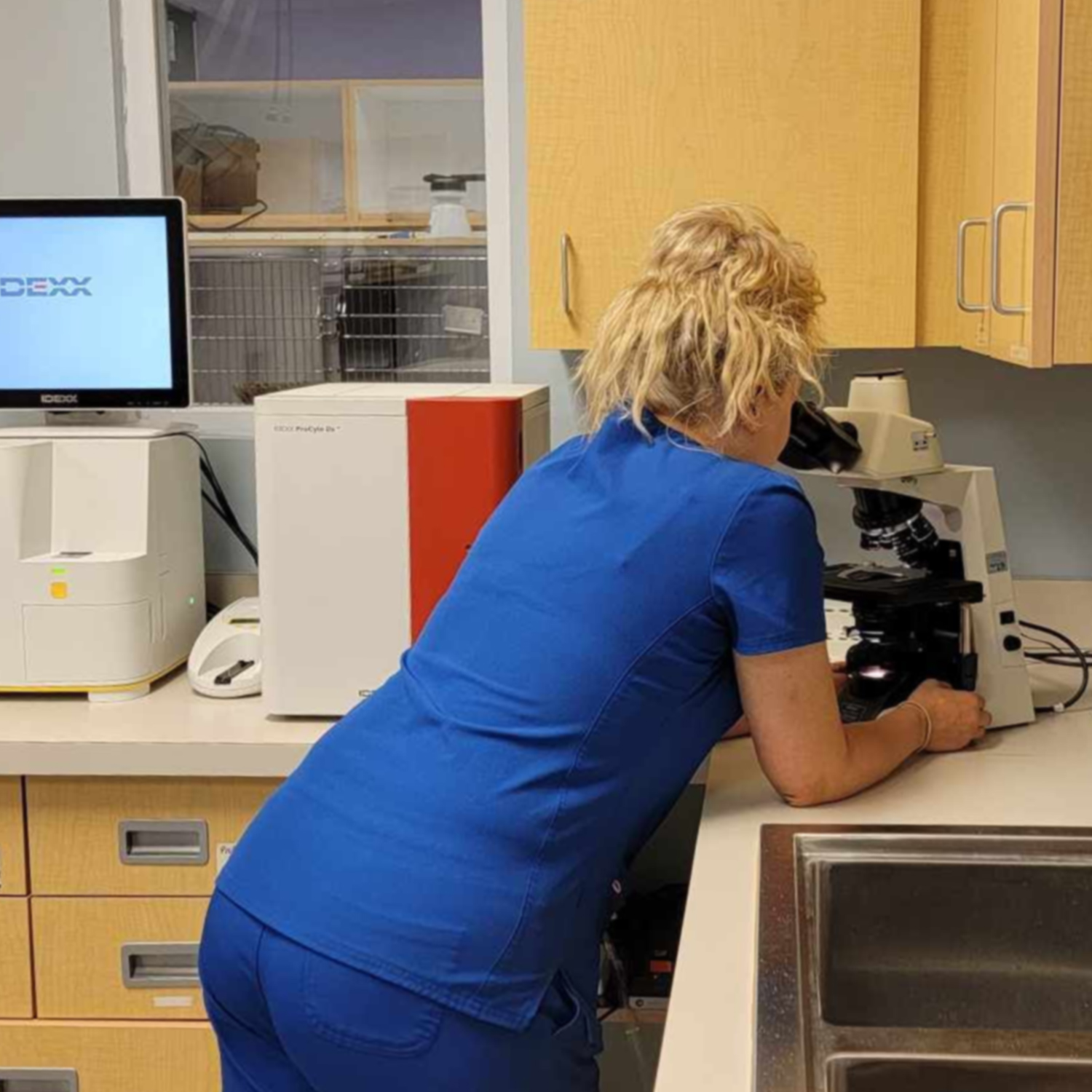This image depicts a vet looking into a scope in a lab.