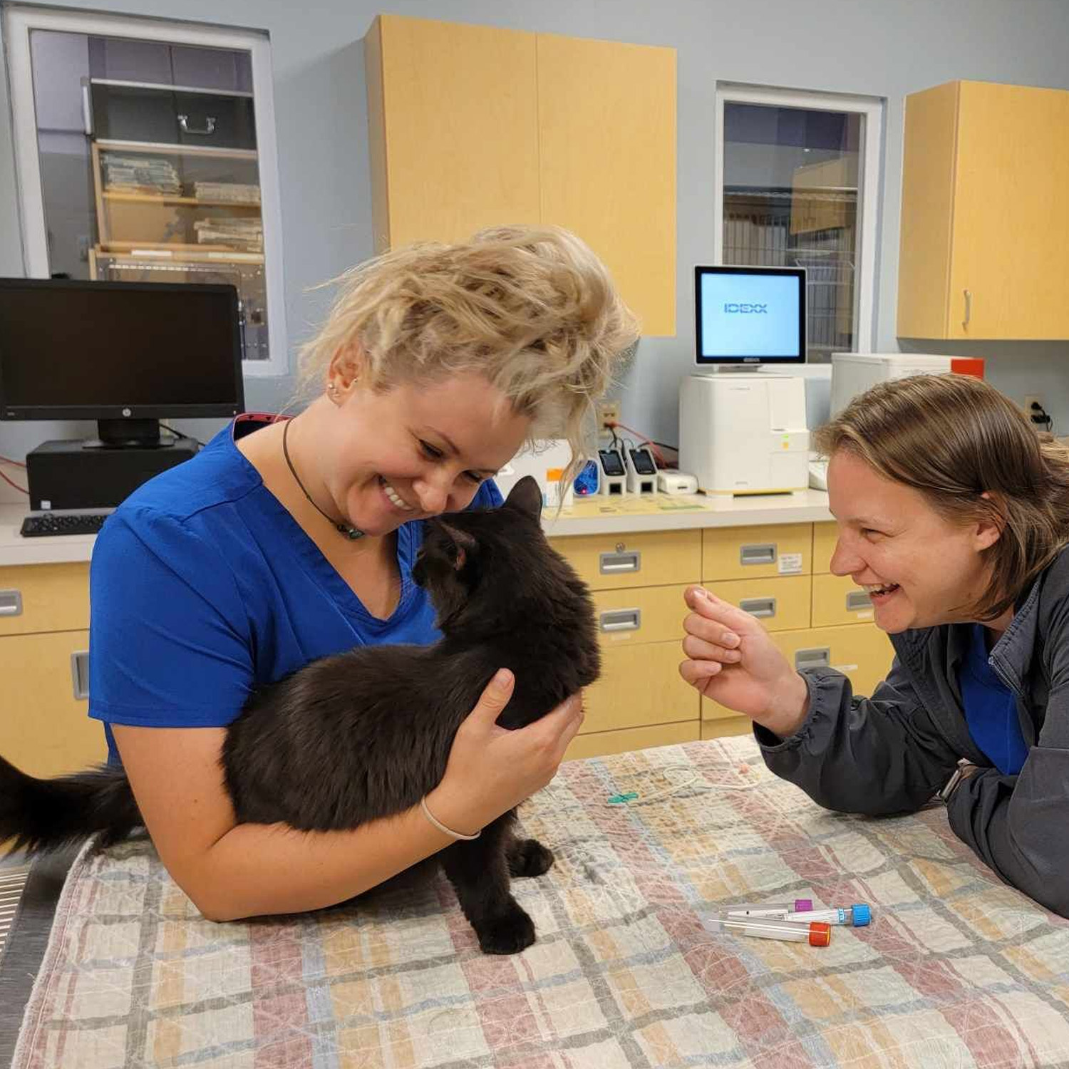 This image depicts two vets smiling at a cat in a treatment room.