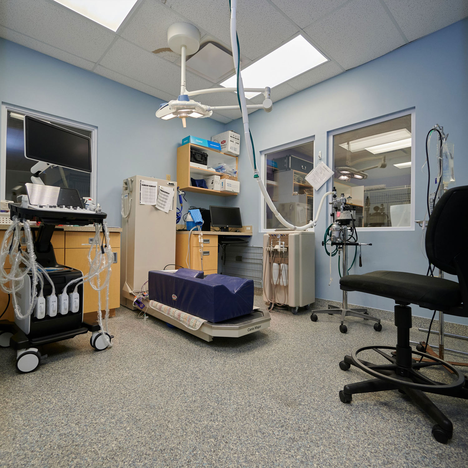 This image depicts a medical treatment office for animals.